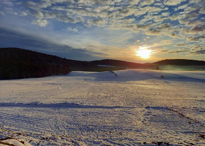 Landgasthof Grenzlos Hotel *